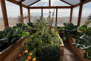 Geothermal Greenhouse Builders | Don’t Miss Out